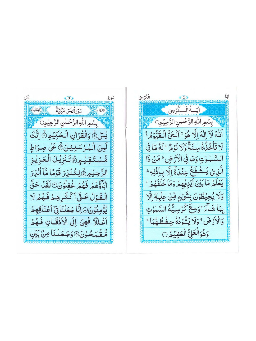 Surah Yaseen/Surah Mulk/Ayatul Kursi (Ref No 99)