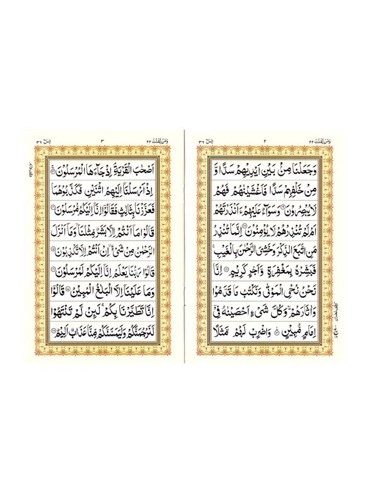 Surah Yasin - Indo Pak - Large (Paperback) - Islamic Impressions