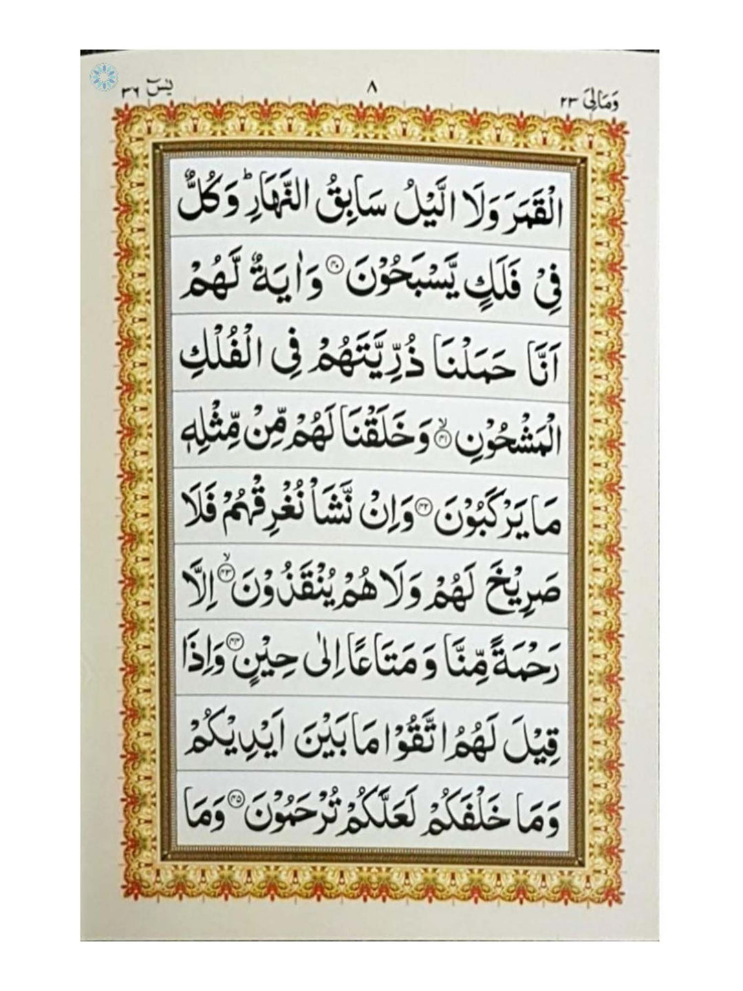 سورة ياسين - إندو باك - صغير - ذهبي (غلاف ورقي) 119