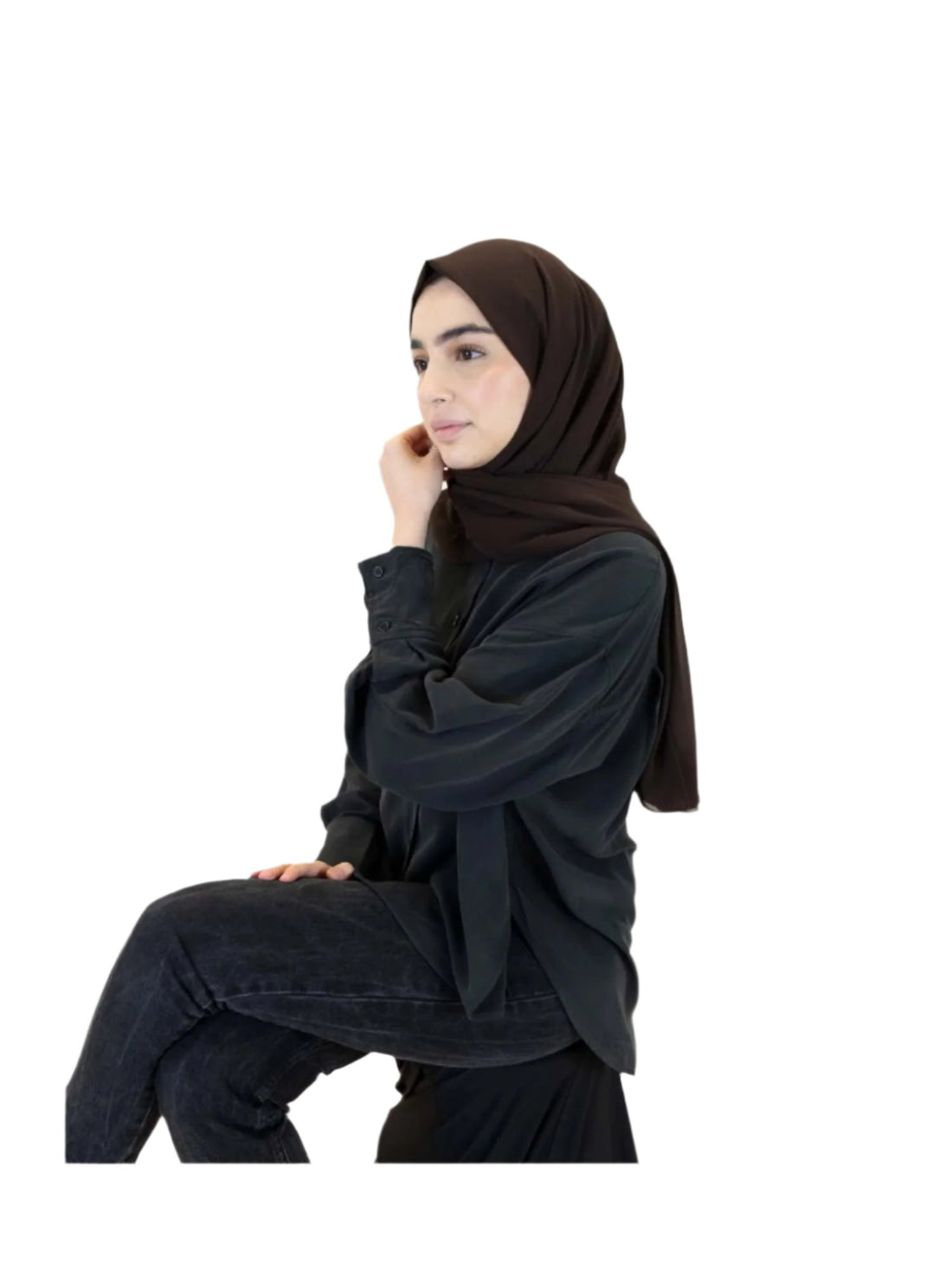 Plain Chiffon Scarf in Brown, view 2