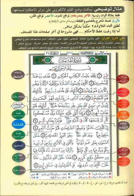 Quran - Uthmani Script - Colour Coded Tajweed - Medium (Deluxe)