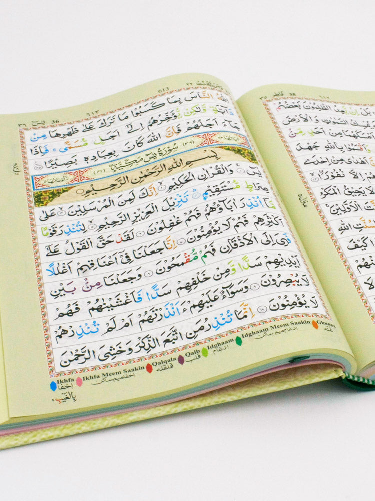 The Holy Quran - 13 Lines Colour Coded Tajweed Rules/Manzils (Indo Pak Script) ~A4 Size - Islamic Impressions
