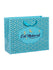 products/GFACBAG2-TQ-1.jpg